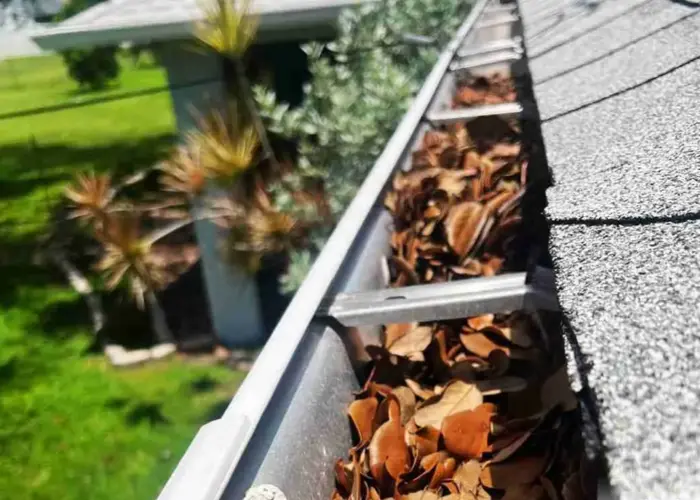 Ladson gutter cleaning home page